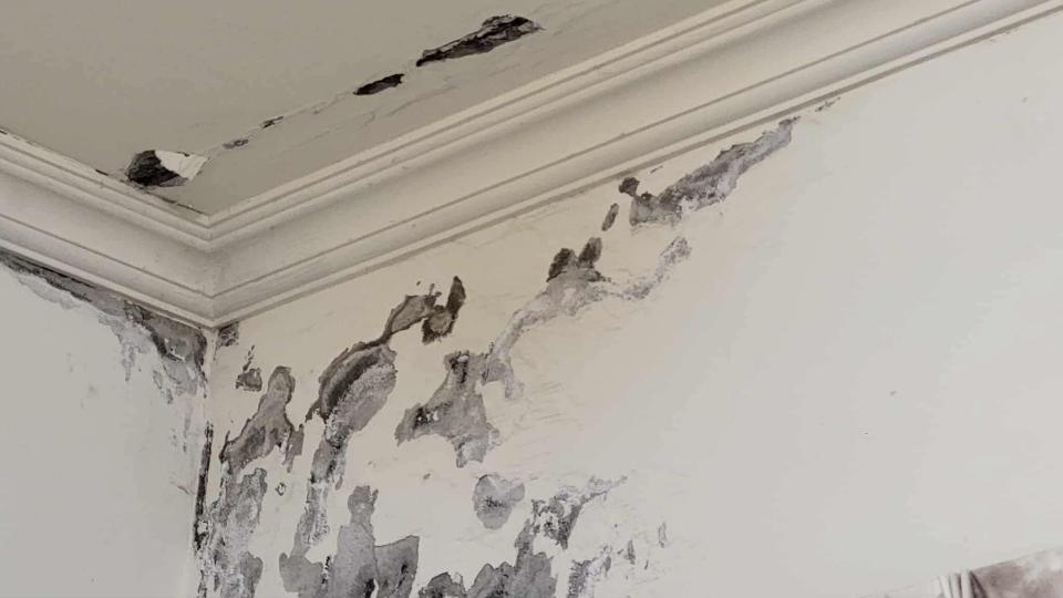 漏水處理案件圖片