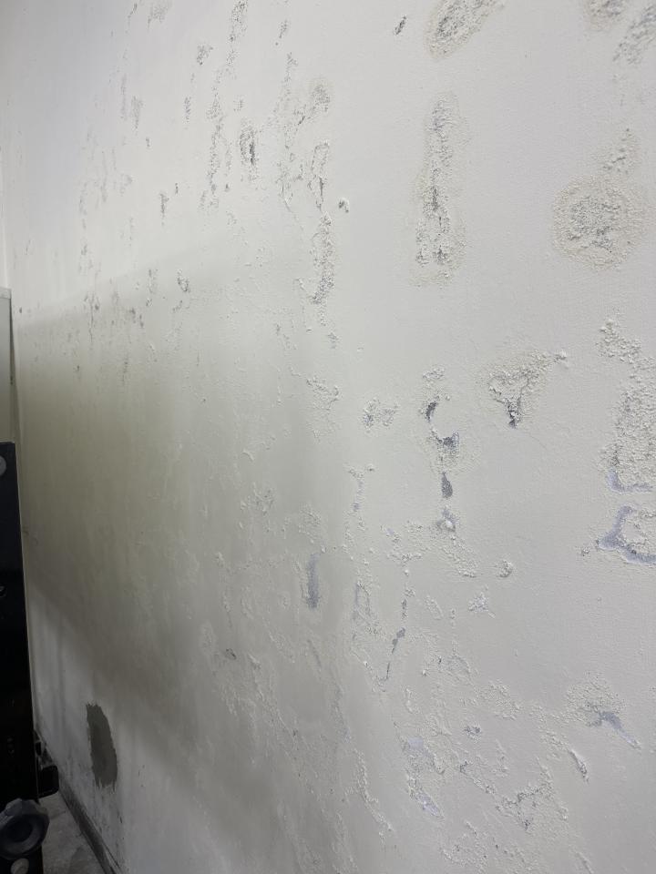 壁癌處理案件圖片