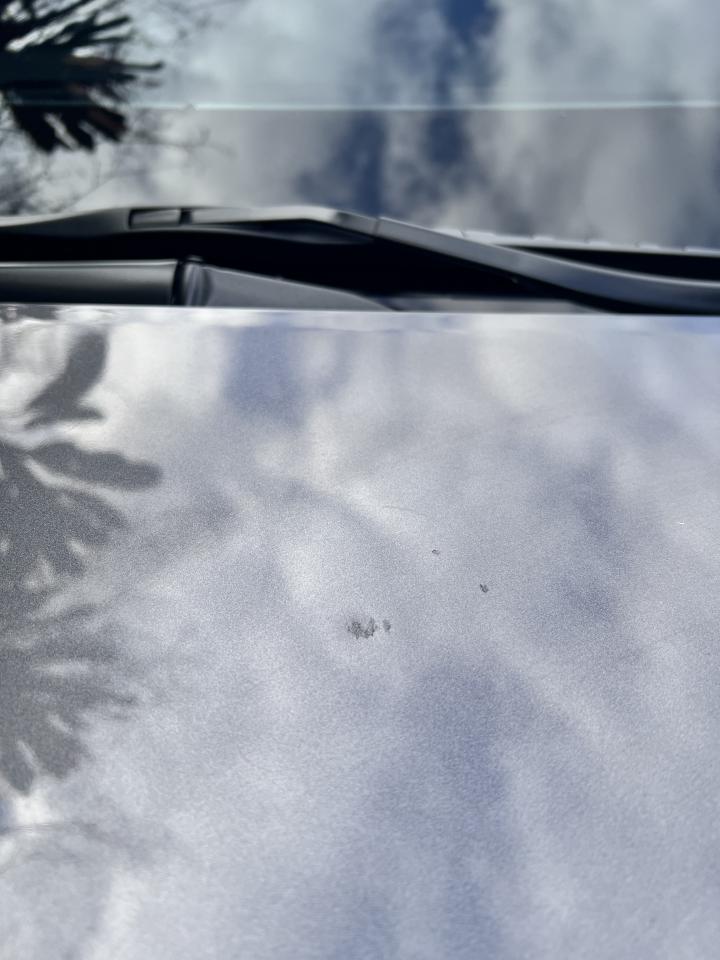 汽車板金烤漆案件圖片