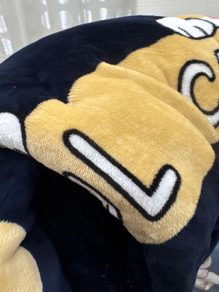 洗衣到府收送案件圖片