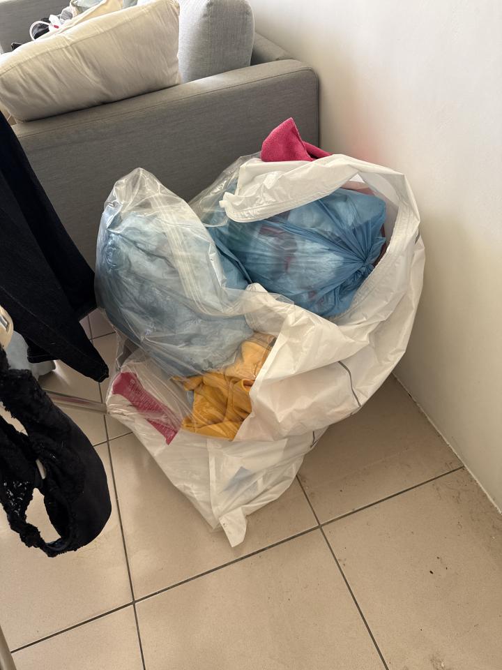 大型垃圾回收案件圖片