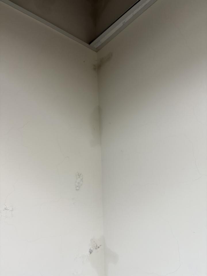 壁癌處理案件圖片