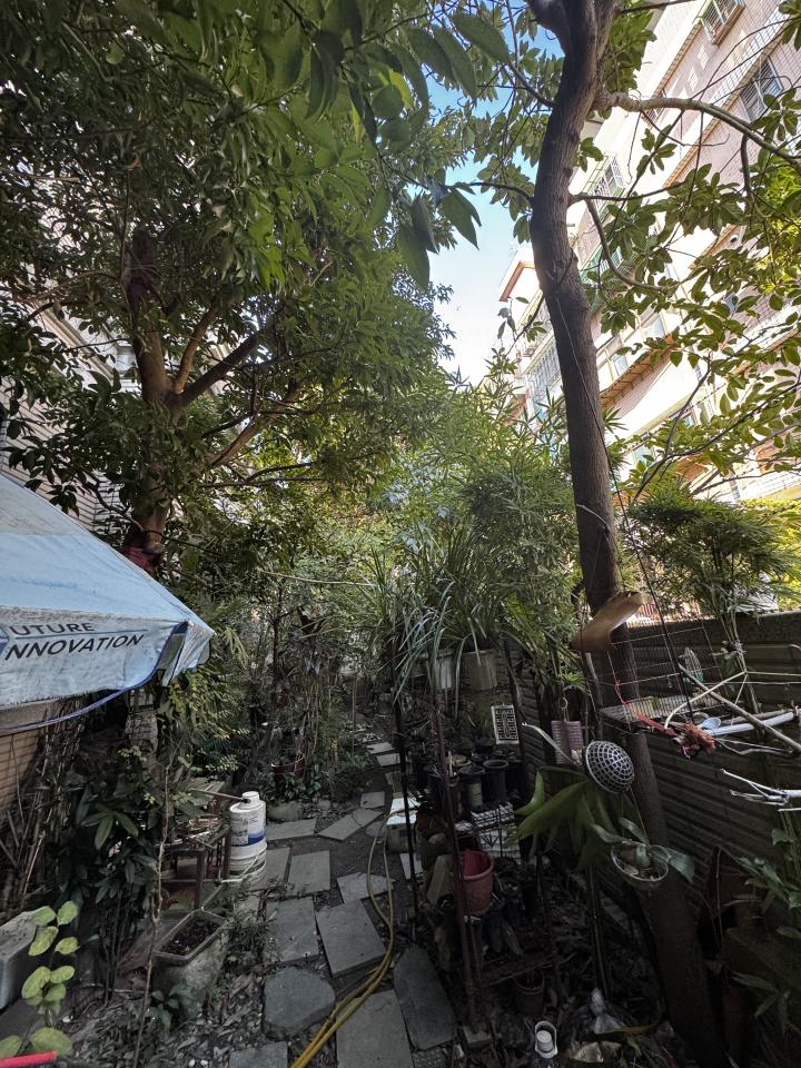 園藝維護案件圖片