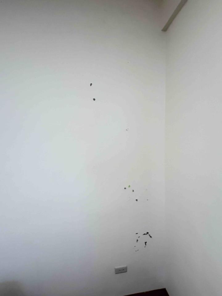 壁癌處理案件圖片