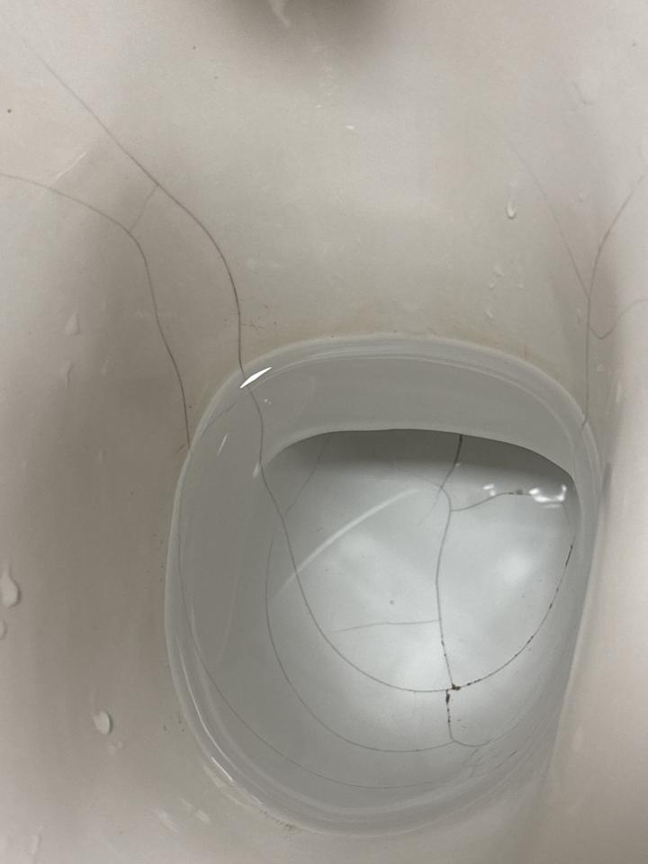 馬桶裝修案件圖片