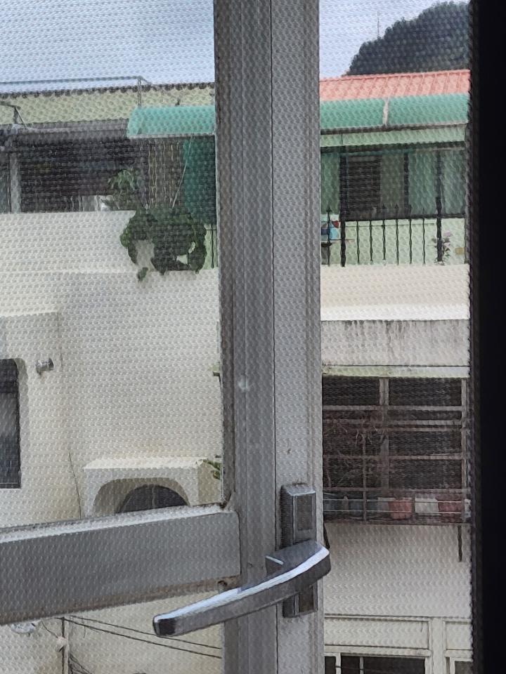 紗窗裝修案件圖片