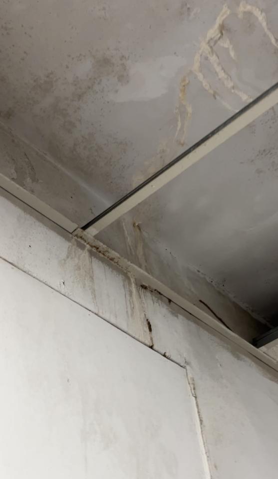 漏水處理案件圖片