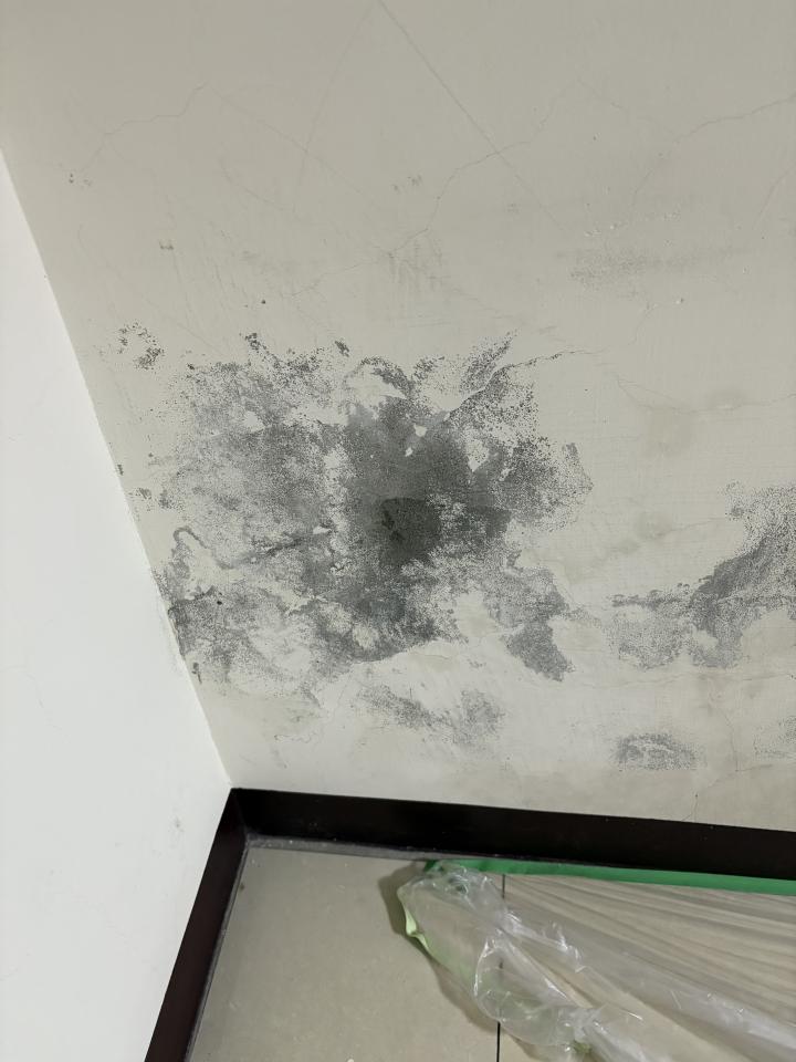 壁癌處理案件圖片