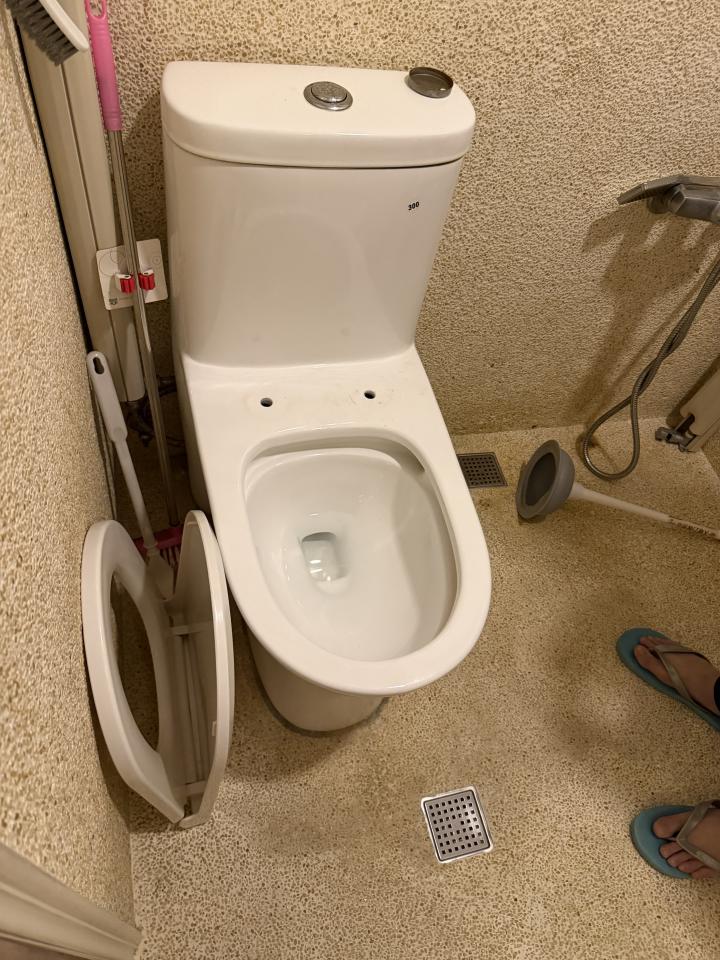 馬桶裝修案件圖片