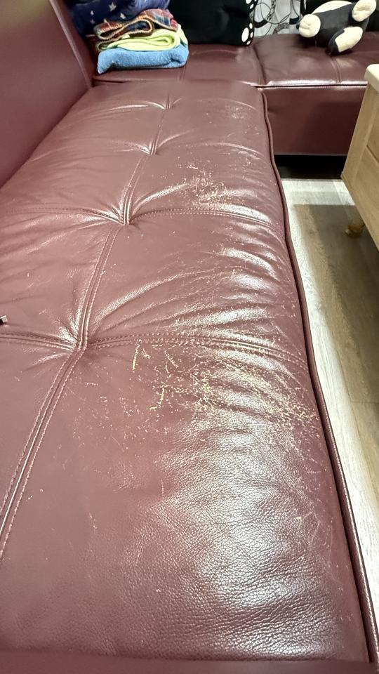 沙發修理案件圖片