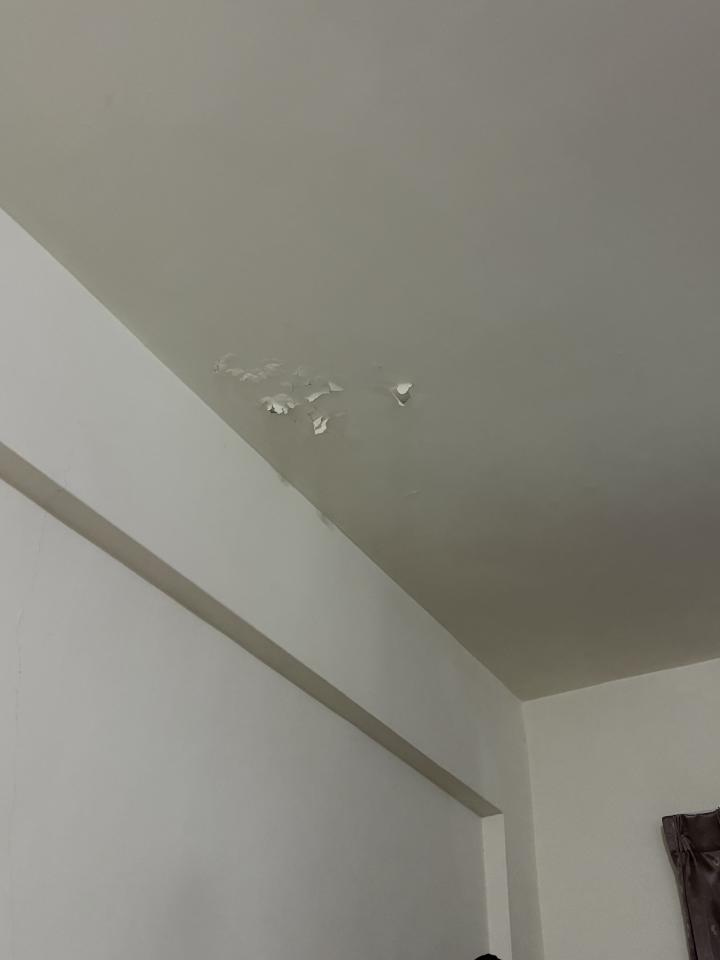 油漆工程案件圖片