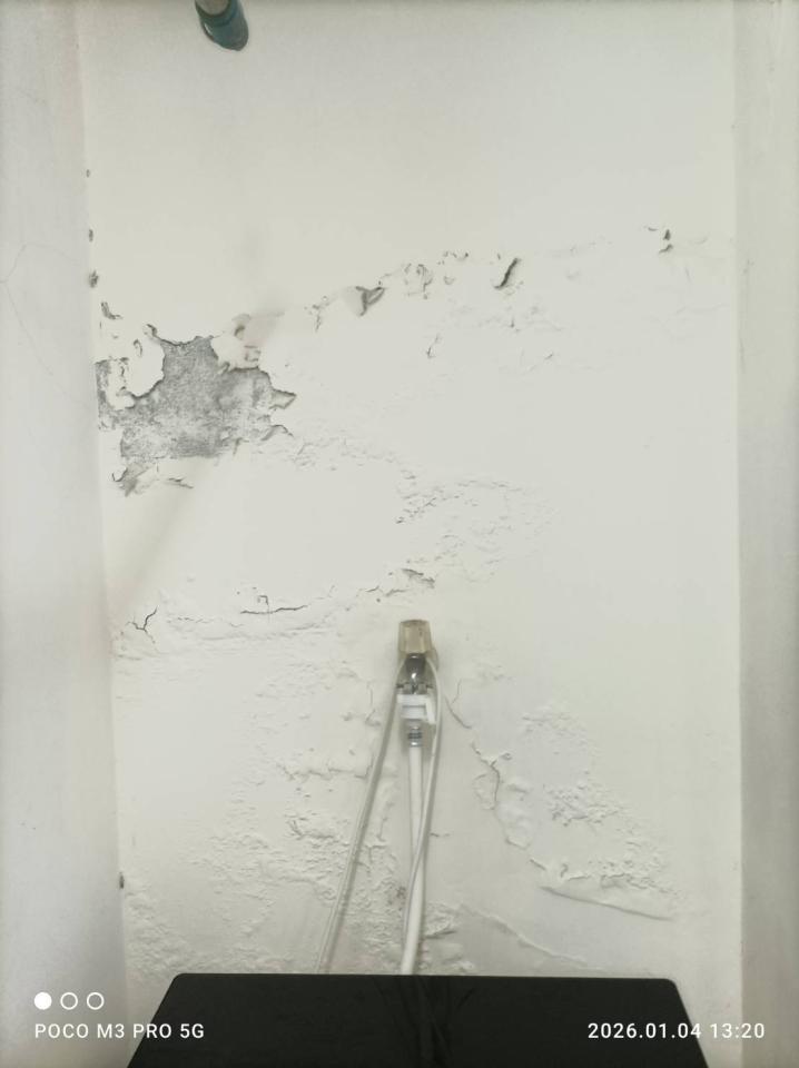 壁癌處理案件圖片