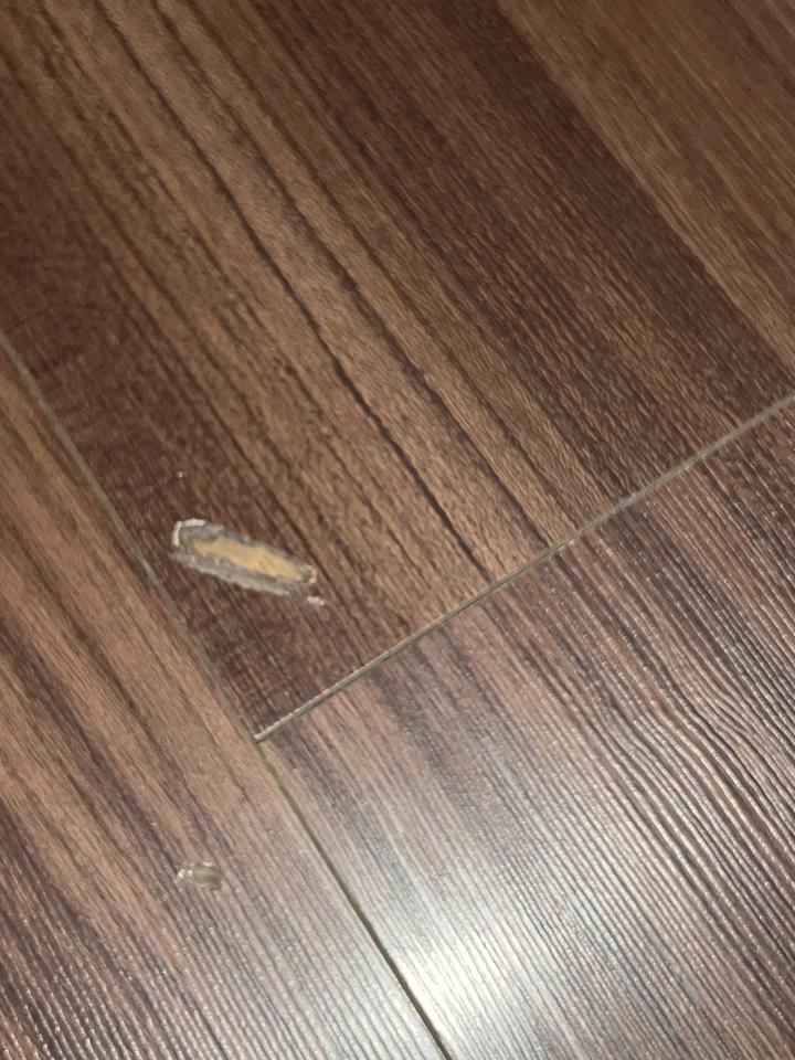 地板維修案件圖片