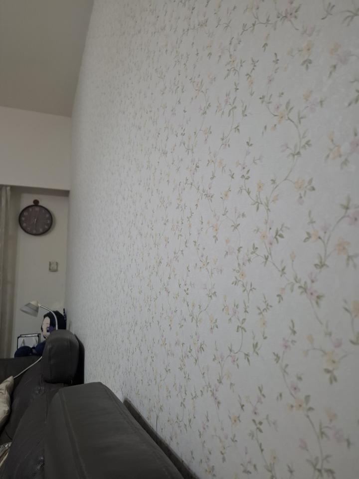 壁紙清除案件圖片