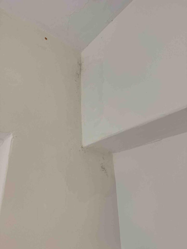 壁癌處理案件圖片