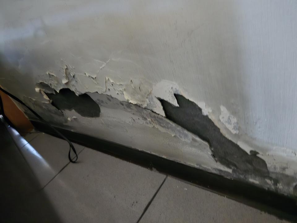 壁癌處理案件圖片