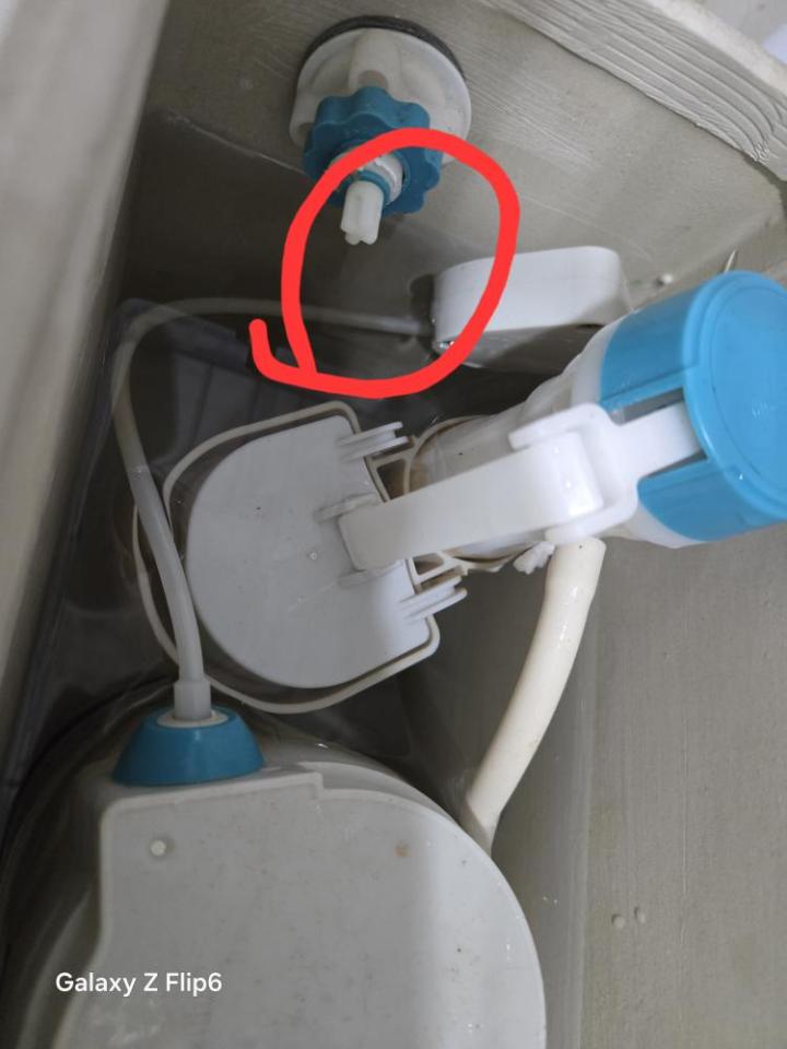 馬桶裝修案件圖片