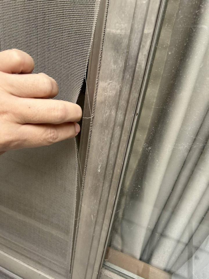 紗窗裝修案件圖片