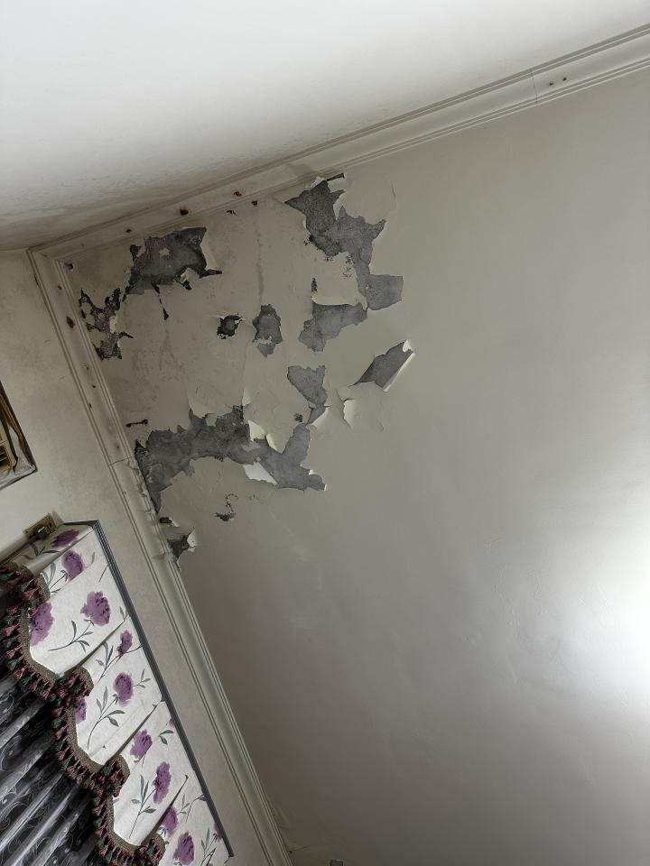 壁癌處理案件圖片