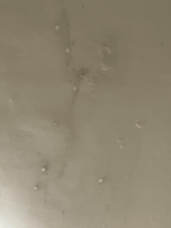 漏水處理案件圖片