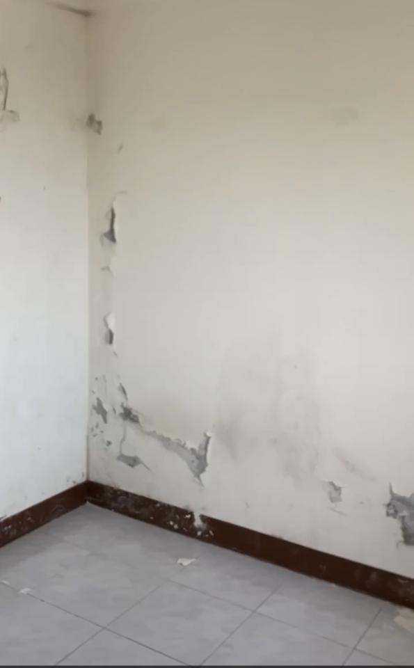 油漆工程案件圖片