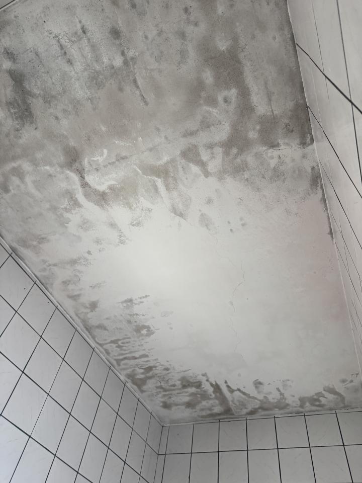 油漆工程案件圖片