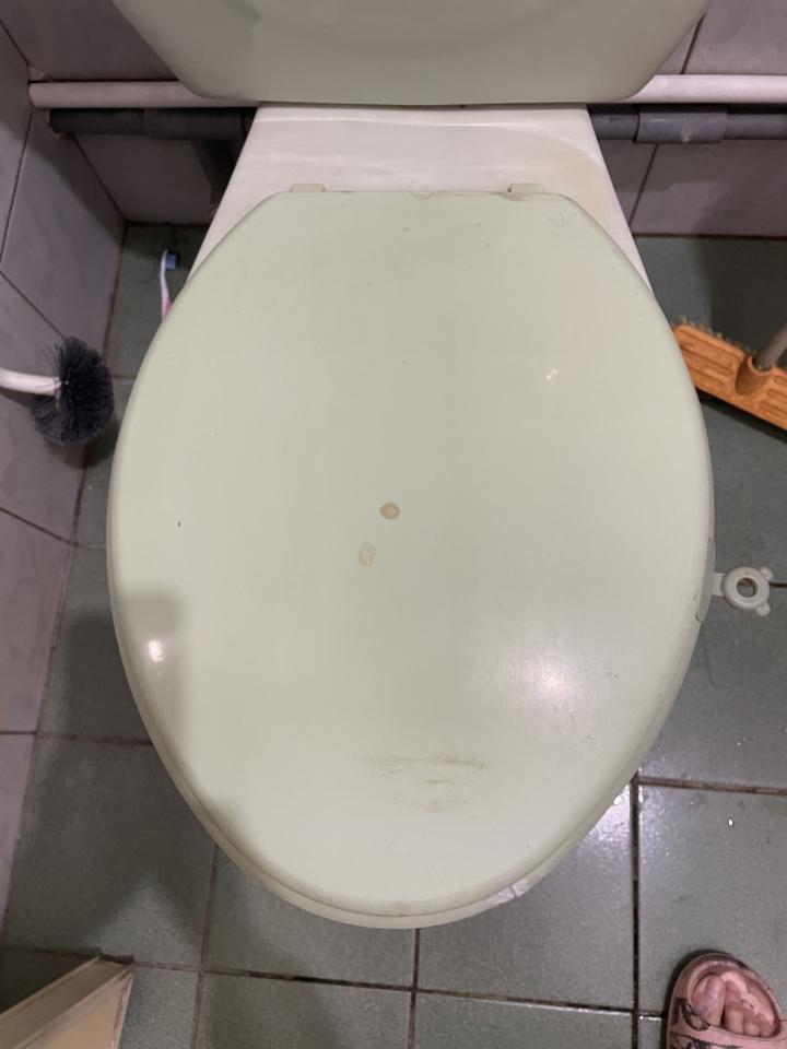 馬桶裝修案件圖片