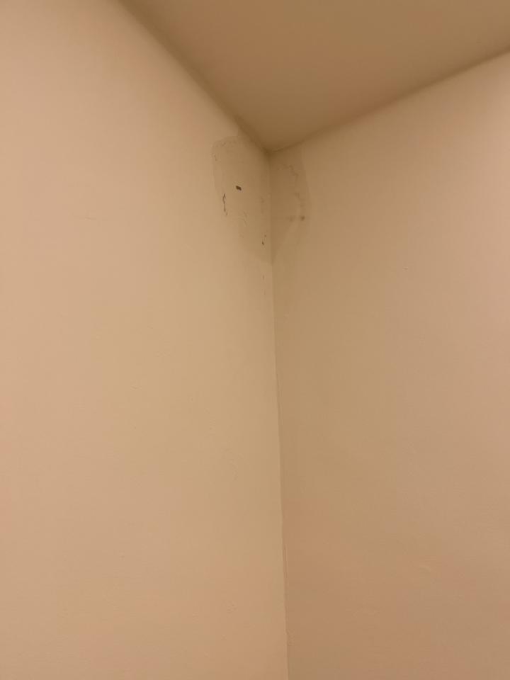 漏水處理案件圖片