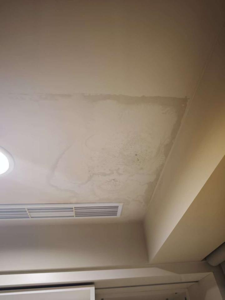 藝術漆施工案件圖片