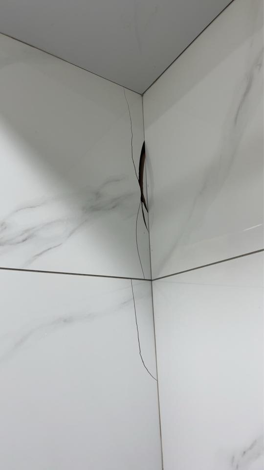 磁磚修補案件圖片