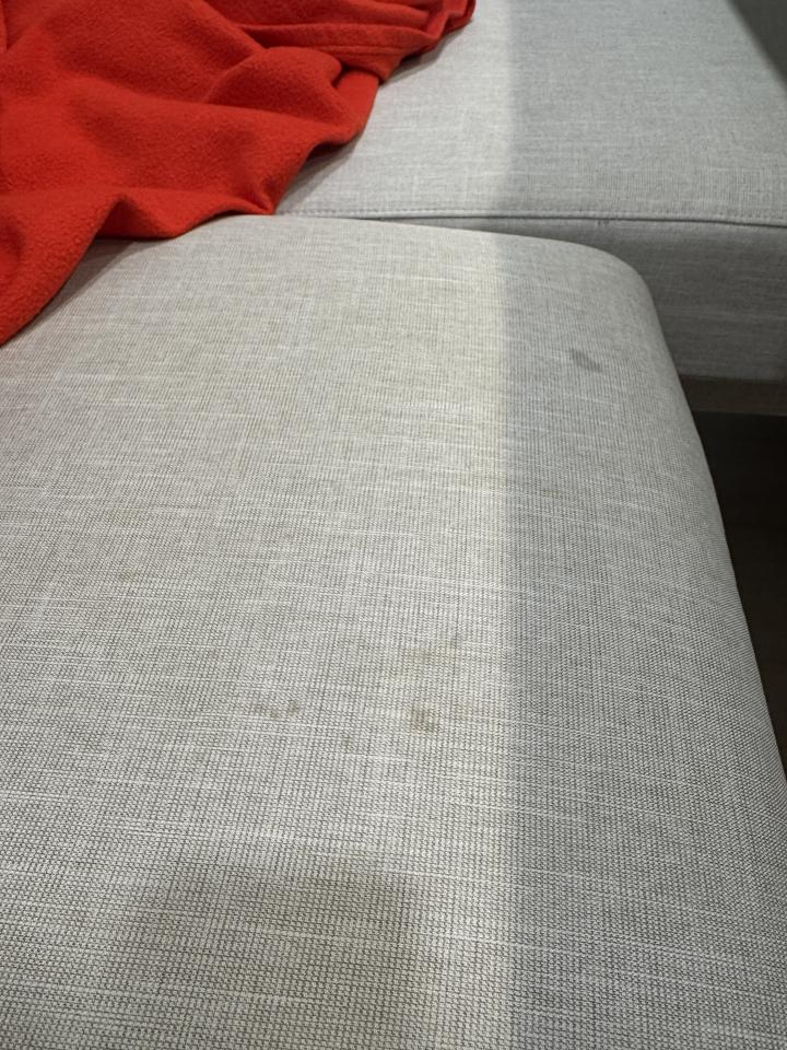 沙發清潔案件圖片