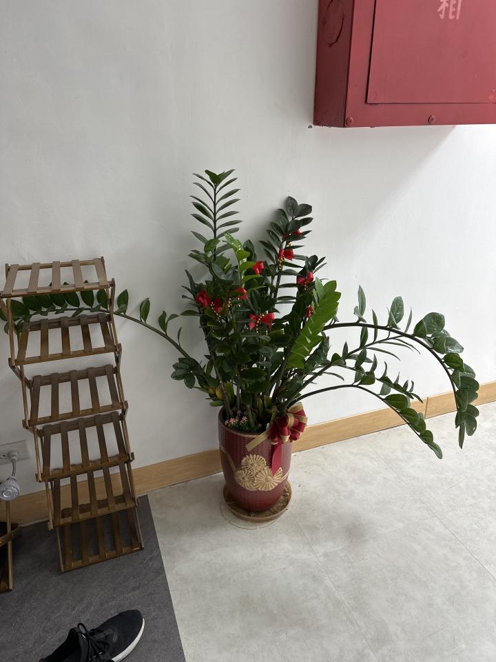 大型家具回收案件圖片