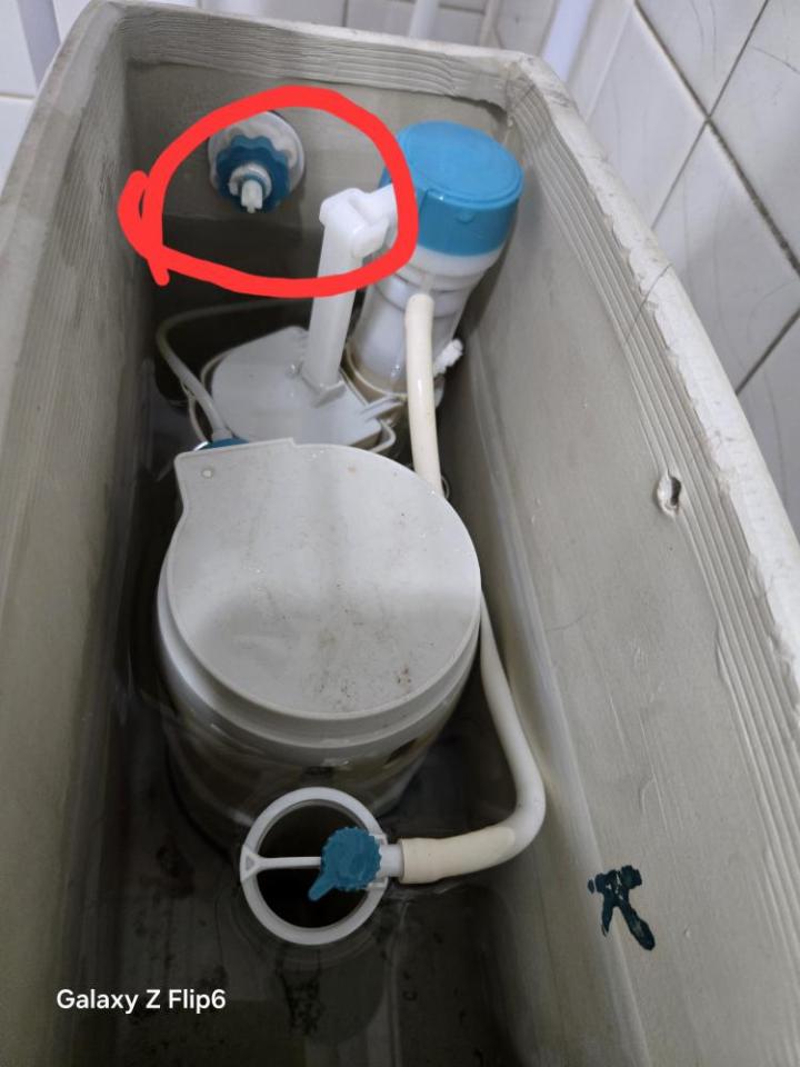 馬桶裝修案件圖片