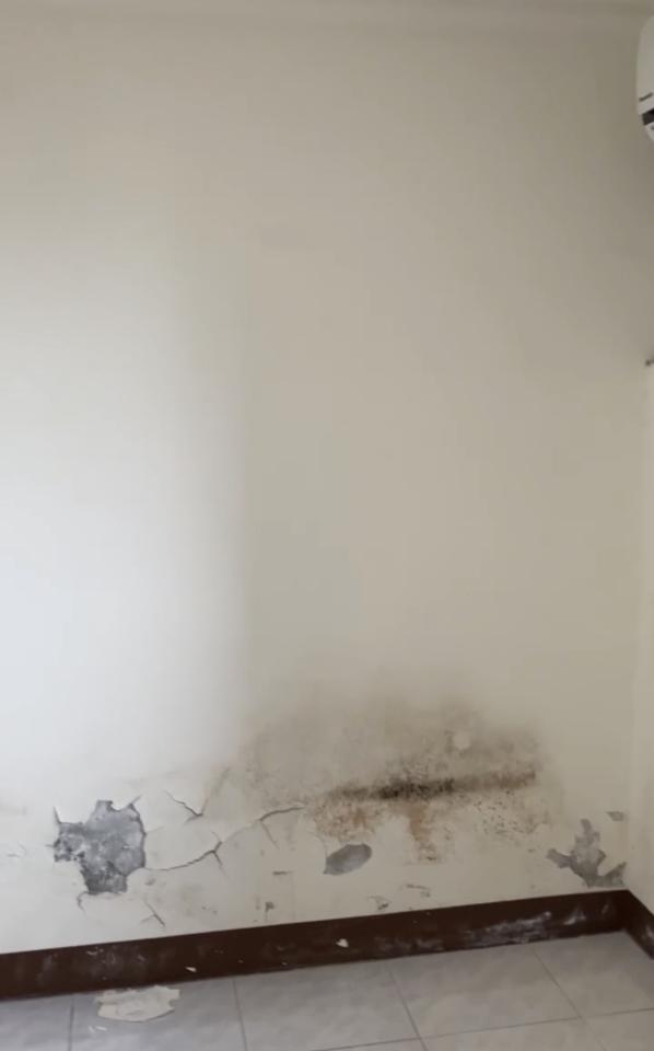 油漆工程案件圖片