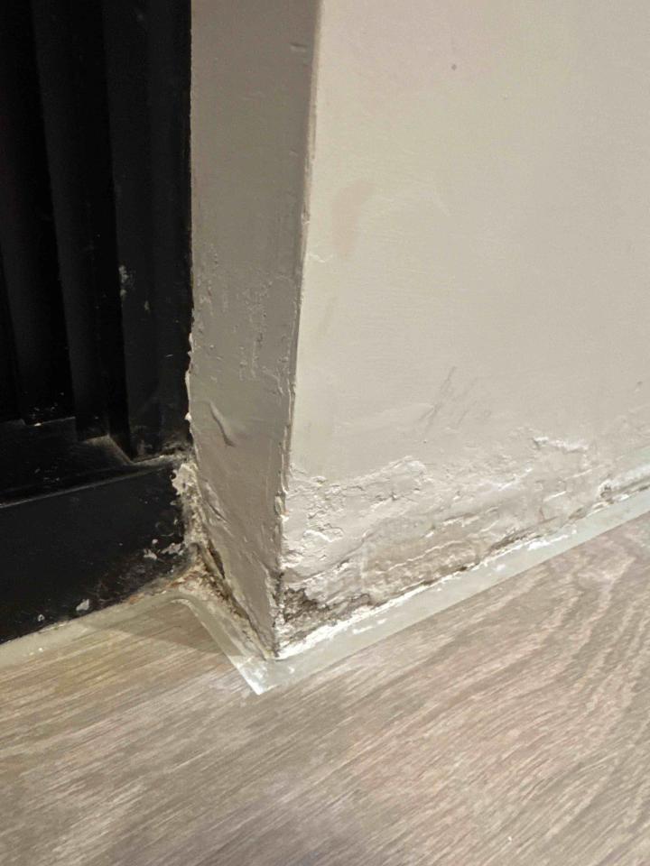 壁癌處理案件圖片