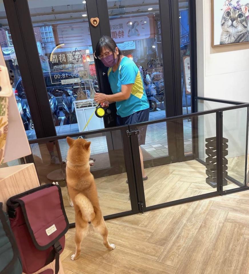 木工施工案件圖片