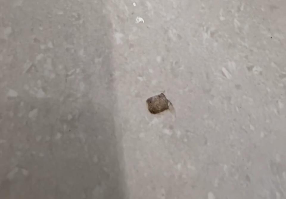 地板維修案件圖片