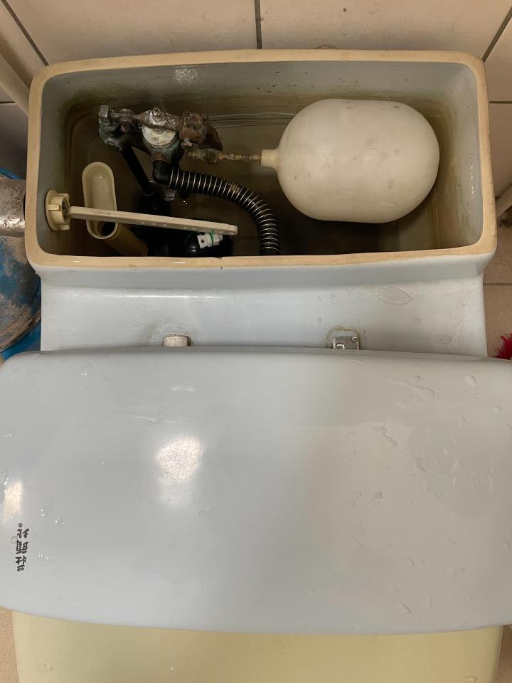 馬桶裝修案件圖片