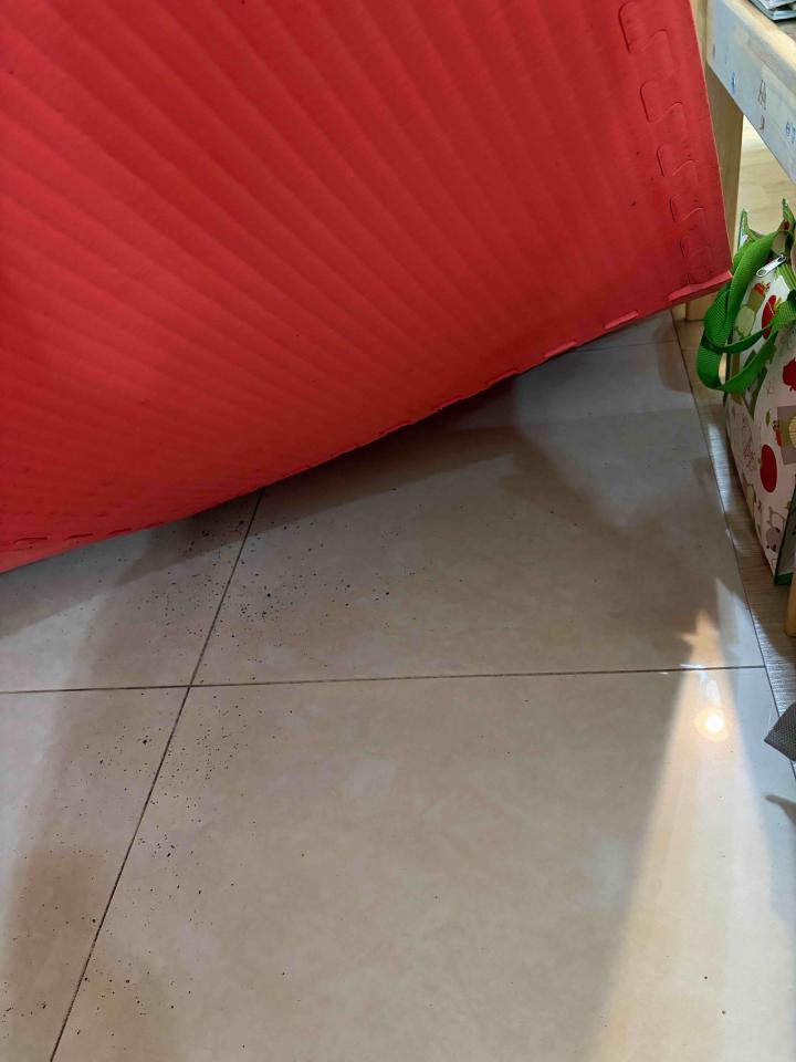 磁磚修補案件圖片