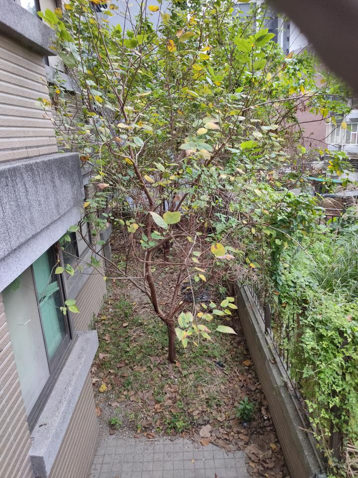 拆除工程案件圖片