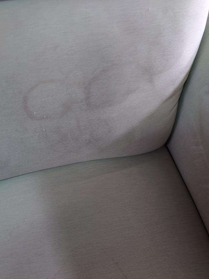 沙發清潔案件圖片