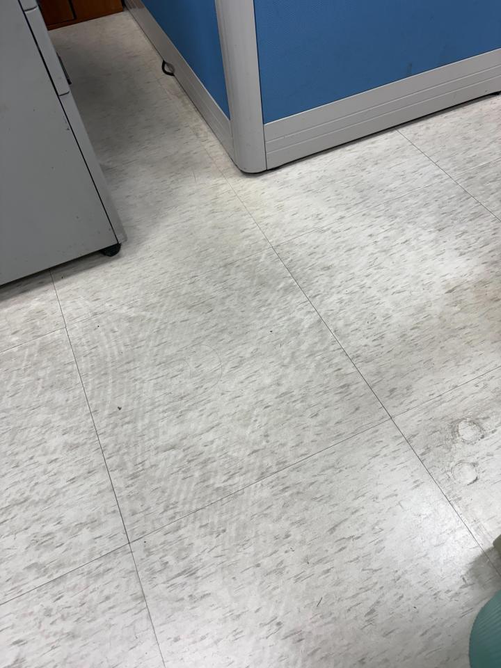 地板拋光打蠟案件圖片