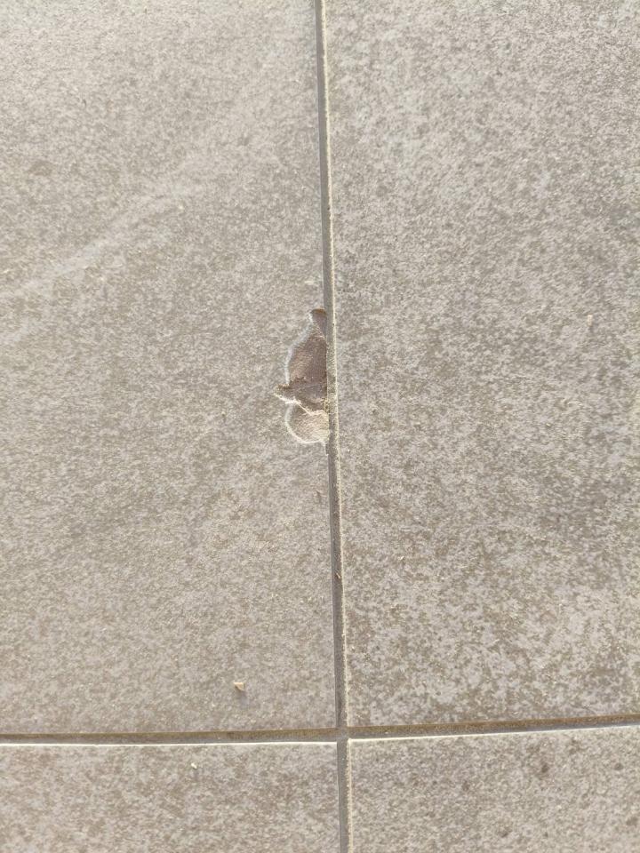 磁磚修補案件圖片