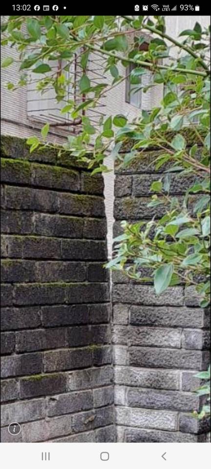 圍牆施工案件圖片