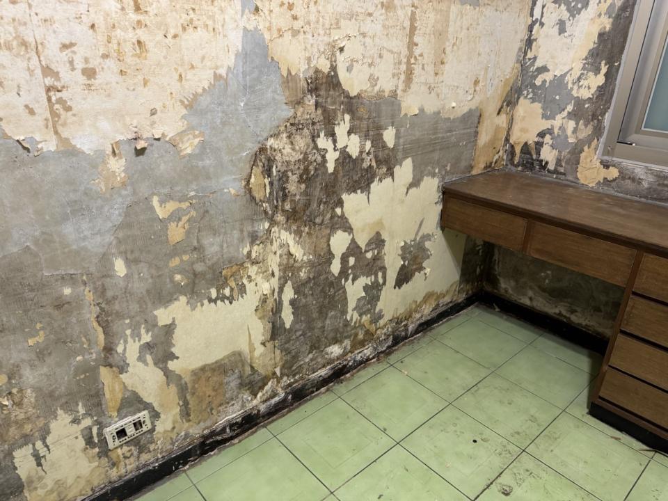 壁癌處理案件圖片