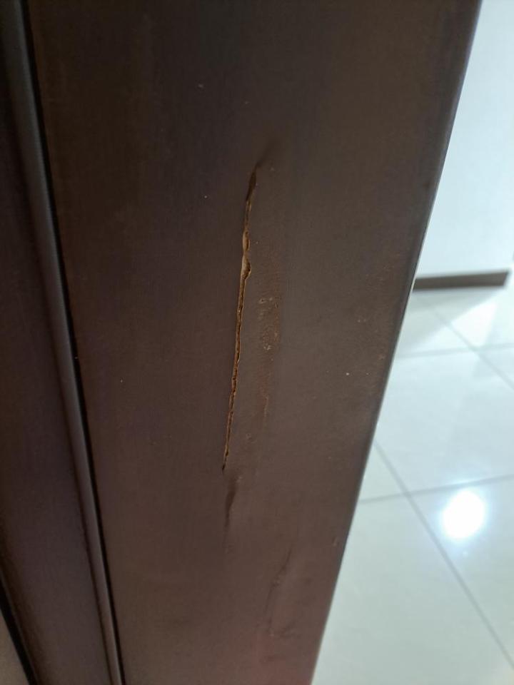 浴室門案件圖片