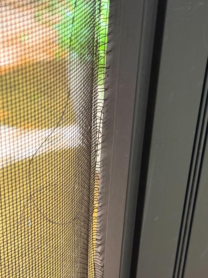 紗窗裝修案件圖片