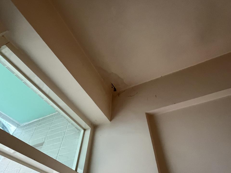 油漆工程案件圖片