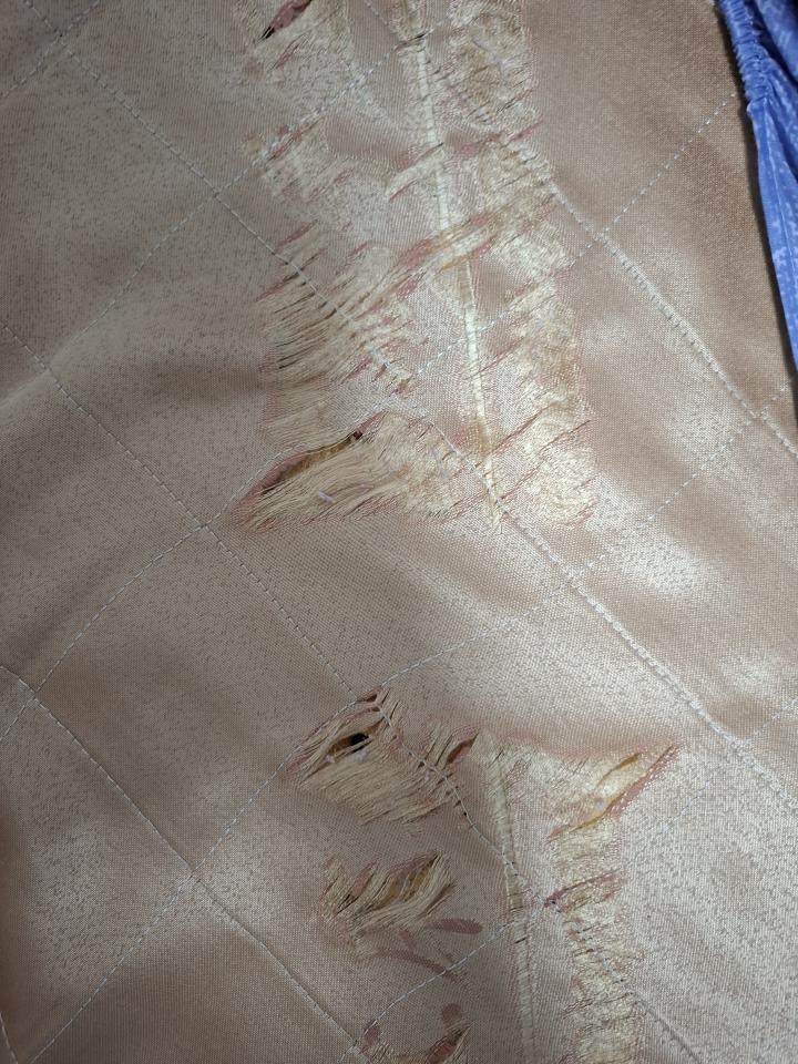 床墊維修案件圖片