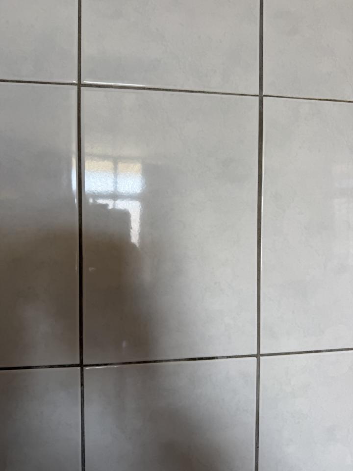 壁紙施工案件圖片